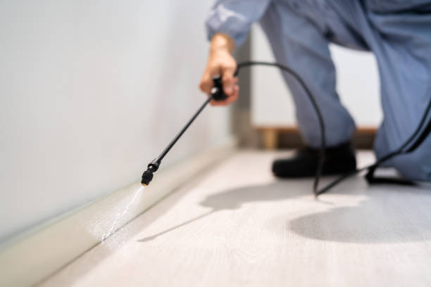 Licensed Bed Bug Control service in Brownlee Park, MI - Nex Pest Control