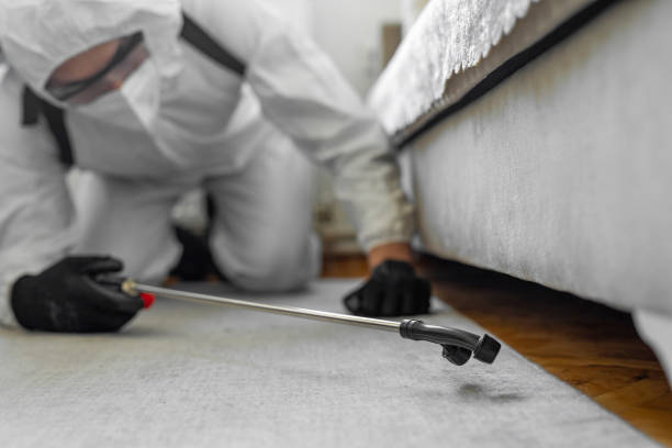 Professional Bed Bug Control technician working in Brownlee Park, MI