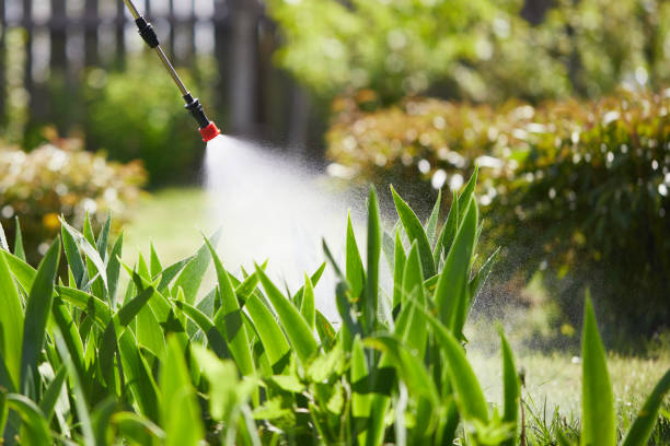 24/7 Emergency Bed Bug Control experts in Brownlee Park, MI