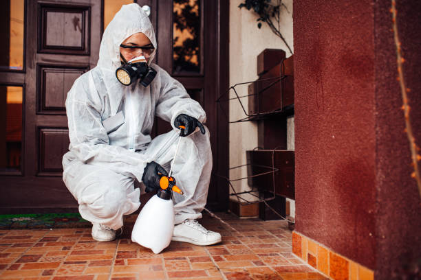 Reliable Bed Bug Control contractor in Brownlee Park, MI by Nex Pest Control