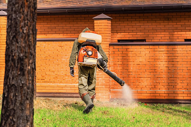 Trusted Bed Bug Control service in Brownlee Park, MI - Nex Pest Control